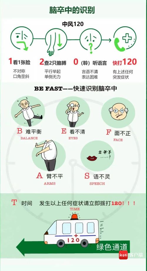 菊花浇水技巧有哪些，如何根据不同生长阶段调整浇水频率