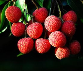 搭配建议，让你美美哒！