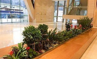 绿化公司服务项目大曝光