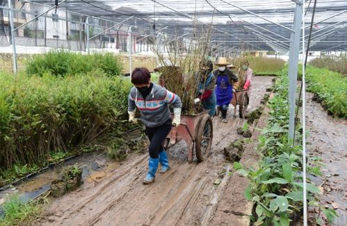 保存率规范，就像我们保护自己的眼睛一样