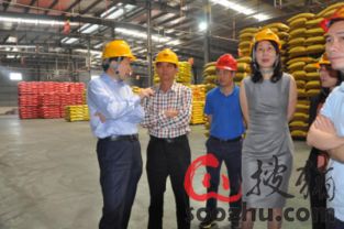中国前十大猪饲料品牌中，哪家与饲料厂合作最为紧密？