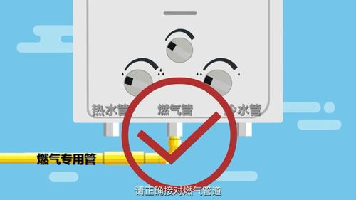 番茄浇水频率和正确方法是什么？