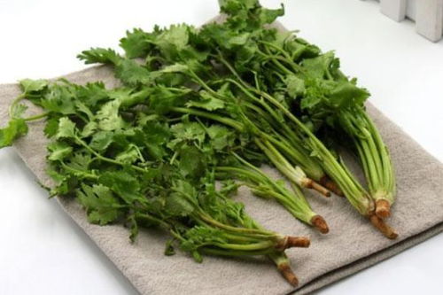 香菜不能和什么一起吃？这些饮食禁忌你知道吗
