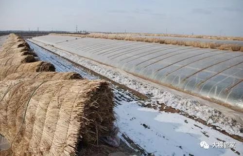 农药的作用与使用规则