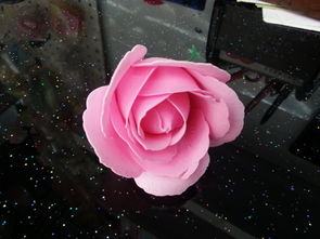 第三种：法国玫瑰