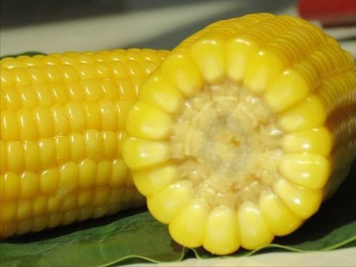 电饭锅煮玉米多久能熟？怎样煮更香甜