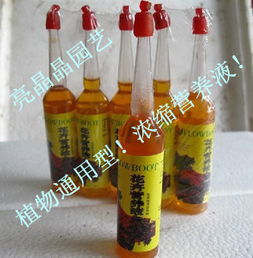 花草博士高浓缩营养液：花卉养护的神器？