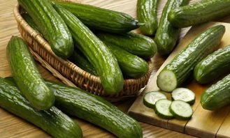 马阿姨的秘方：用咖啡渣+蚯蚓粪混合