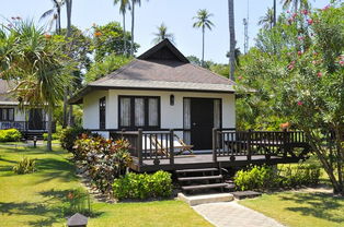 月季花， 美得让人心醉