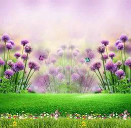 观察花草树木的细节