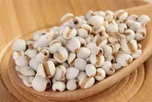 种植界的“老司机”：周叔的“三三制”种植法