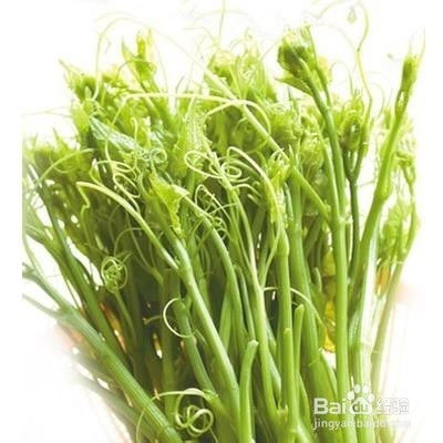 龙须菜生长它究竟属于哪种植物呢