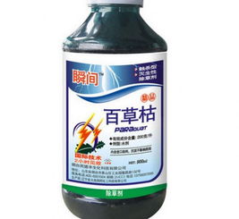 草面水干不干，有关系吗？