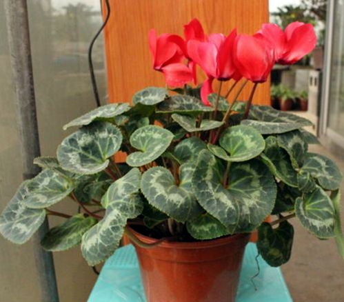 实验数据对比，你了解吗？