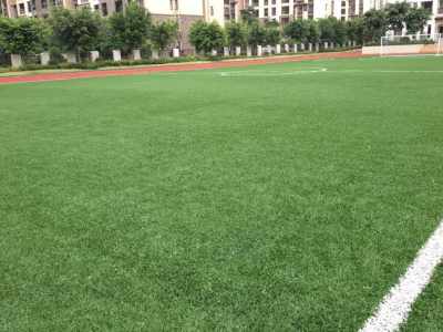 功嫩型草坪对照表