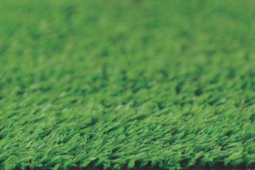 南北差异大， 草坪选草有讲究