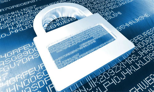 打完甲维盐的蔬菜，7天内别急着采摘