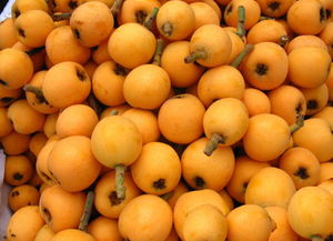 病虫害防治方法