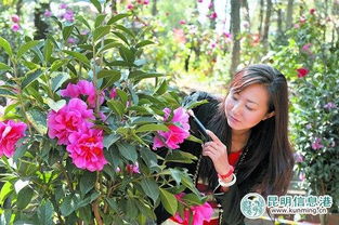 山茶植物专类园