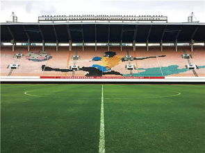 德国草坪专家穆勒团队发明的