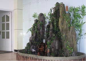 假山缸里种啥花Zui合适，美化环境又清新空气？