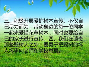 自然之美，心灵之窗