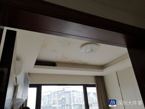 天花板泛黄之谜：是涂料老化还是空气污染？