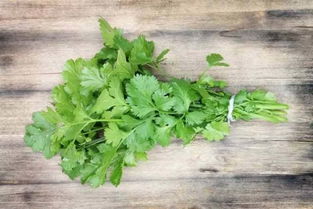 二（一）挑选种子