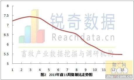 如何根据生猪每天喂料量调整饲料，实现成本降低30%并避免全流程中的潜在问题？