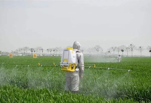 农药稀释的重要性