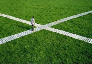 双高草种筛选标准