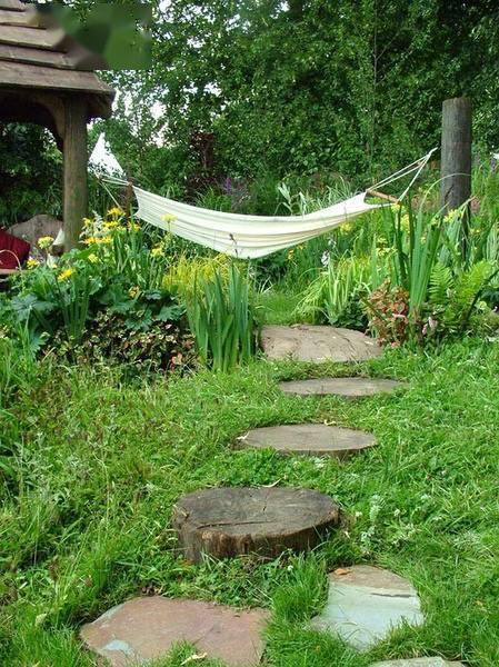 院子里的草为什么总是黄黄的？