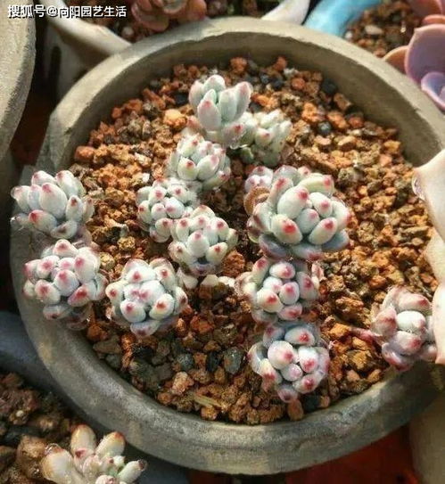 使用煤渣， 要注意方法