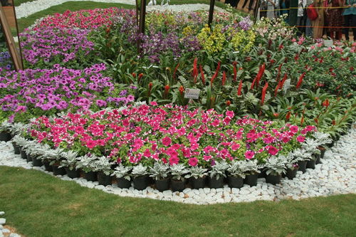 品种丰富， 科技含量高