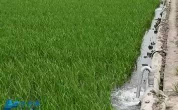 土壤，那个沉默的守护者