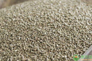 鸡饲料便如何治疗？有没有针对性的治疗方法？