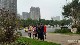 园林处服务理念揭秘：以人为本，和谐共生