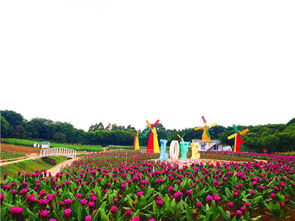 松山湖音乐喷泉