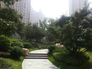 硬质景观与软质景观：如何让它们成为和谐的好伙伴