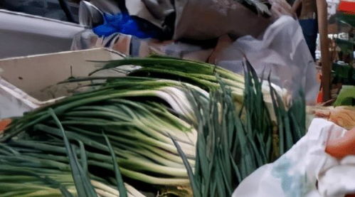 农药大揭秘：矮壮素与乙烯利