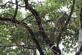 试试这些小方法， 说不定有用