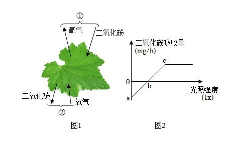 提前测试喷洒速度和水量， 确保不遗漏
