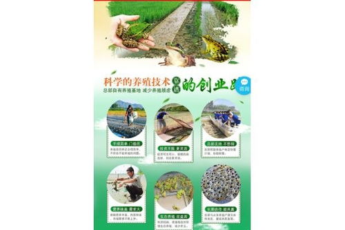 青蛙种苗养殖，需了解青蛙习性、选择适宜场地