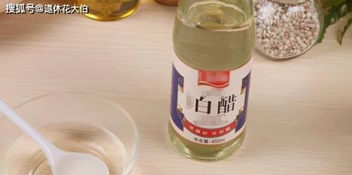 如何有效驱除花招虫而不依赖化学杀虫剂
