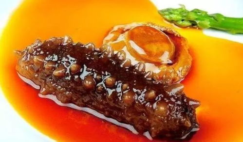 海参富含营养，适宜体质虚弱、免疫力低下者食用