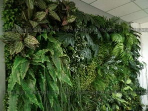 中原大地的生态密码