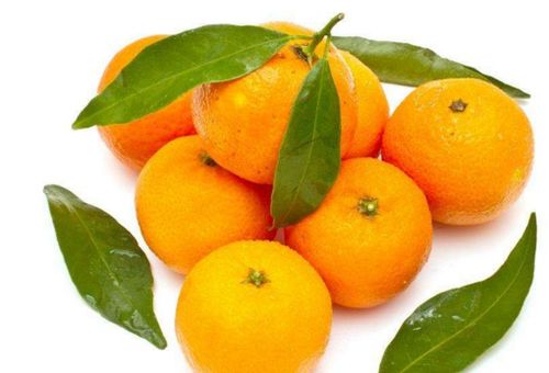 柑橘锈病防治：哪种杀菌剂Zui有效？