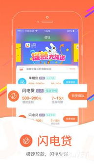 幸福花图片，哪里找