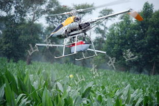 电池成本， 约为1.1元左右