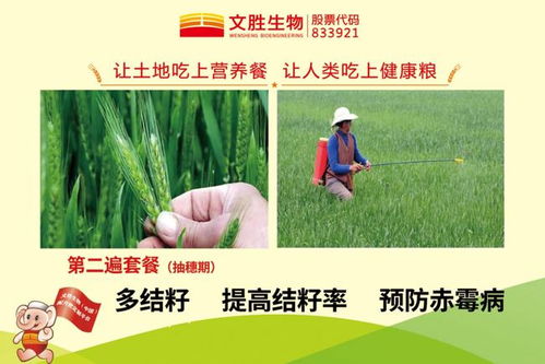 第三遍药：扬花后15天左右使用